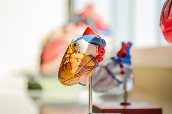 Cardiomyopathie : Types, origines, signes et solutions clés