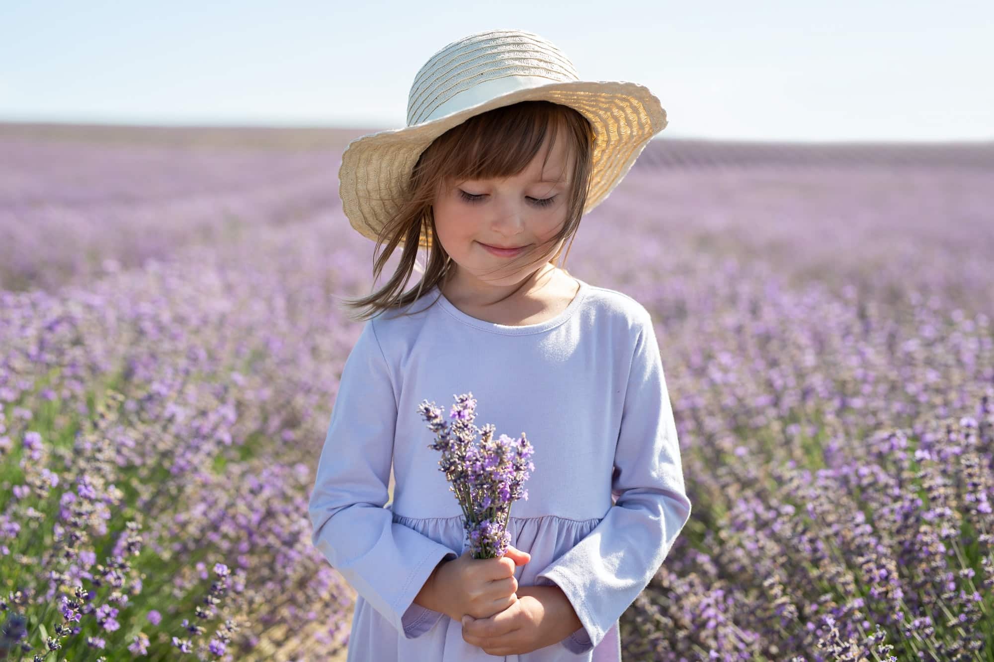 Quelle est la différence entre la lavande et la lavande violette ?